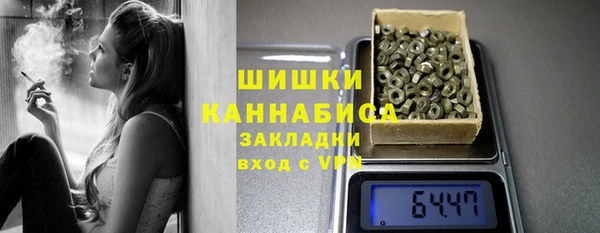 Альфа ПВП Горняк