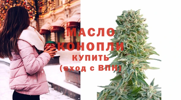 Альфа ПВП Горняк