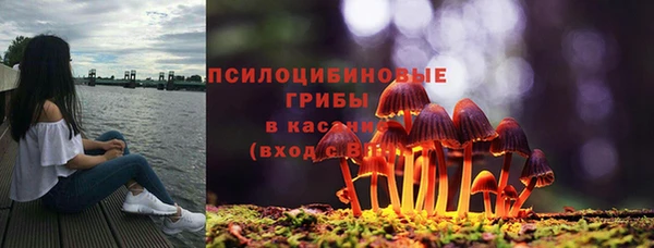 Альфа ПВП Горняк