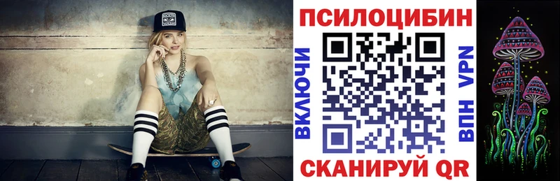Купить где  Тавда  Галлюциногенные грибы GOLDEN TEACHER 